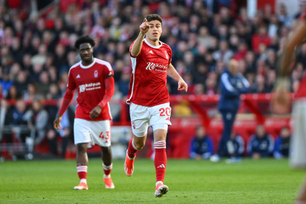 这篇文章将 这篇文章将